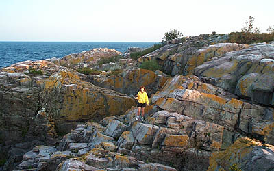 Jagged Cliffs